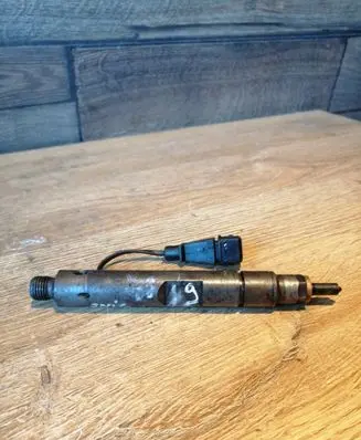 Renault Scenic I Fuel injector
