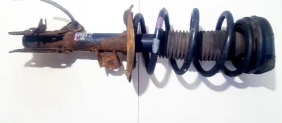 Nissan Qashqai Front shock absorber/damper 54303jd73a 824903003493