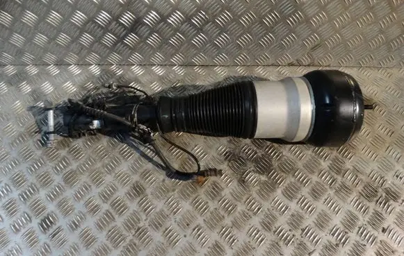 Mercedes-Benz S C217 Front shock absorber/damper A2173200413