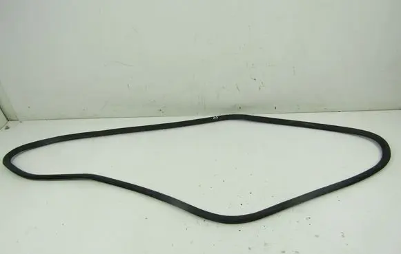 Audi A4 S4 B7 8E 8H Front door rubber seal 