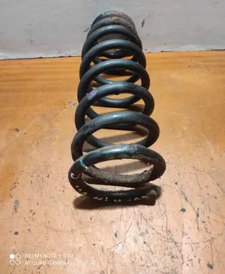 Hyundai Sonata Rear coil spring