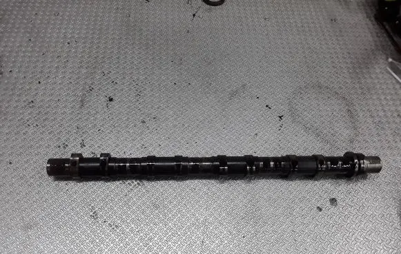 Hyundai Terracan Camshaft 