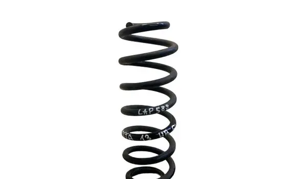 Rear coil spring