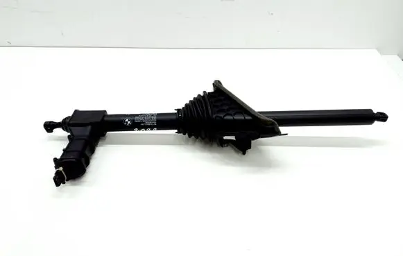 Tailgate/trunk strut/damper