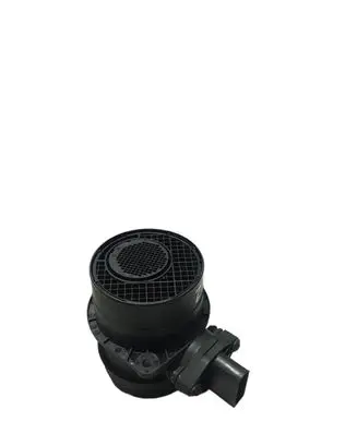 Volkswagen PASSAT B6 Mass air flow meter 074906461