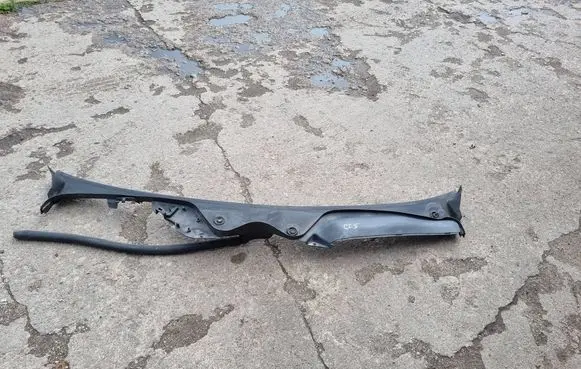 Mercedes-Benz CLS C219 Wiper trim A2198300313