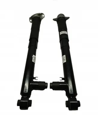Volkswagen Golf VIII Rear shock absorber/damper 5WA512009K