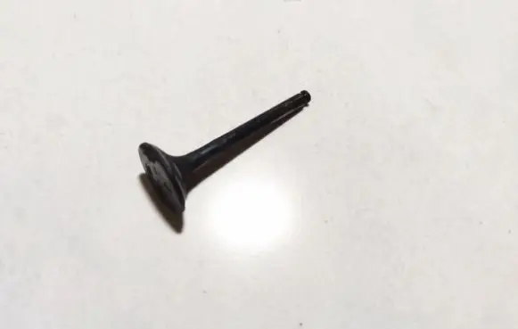 Rover 414 - 416 - 420 Valve 