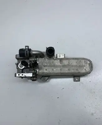 Volkswagen Golf V EGR valve cooler 038131513D