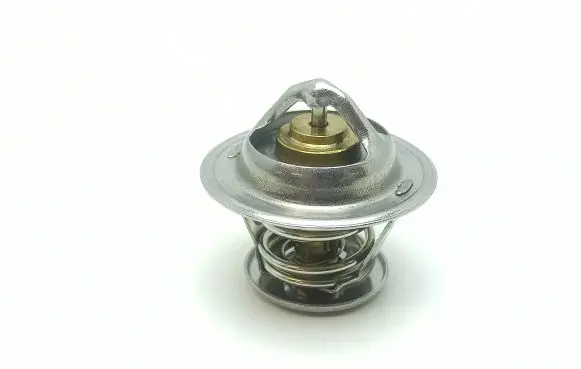 Microcar M.GO Thermostat 9195124 811200