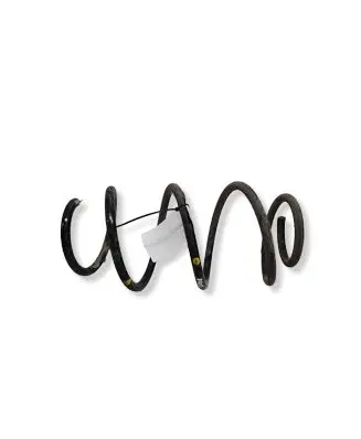 Hyundai i30 Front coil spring 1234