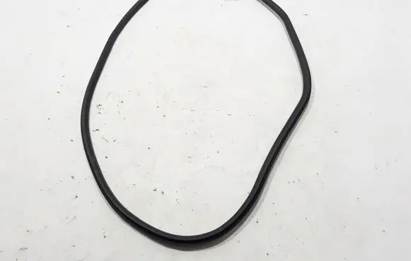 Renault Espace V (RFC) Front door rubber seal 808322238R