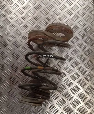 Rear coil spring