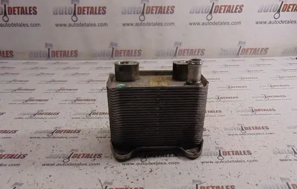 Mercedes-Benz E W210 Engine oil radiator A6131880101