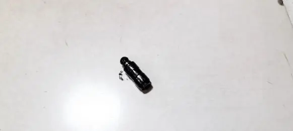 Ford Focus Tappets lifter 