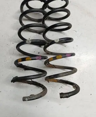 Rear coil spring