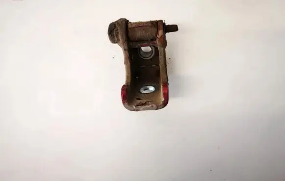 Peugeot 206 Rear door lower hinge
