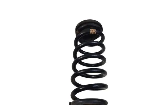 Rear coil spring