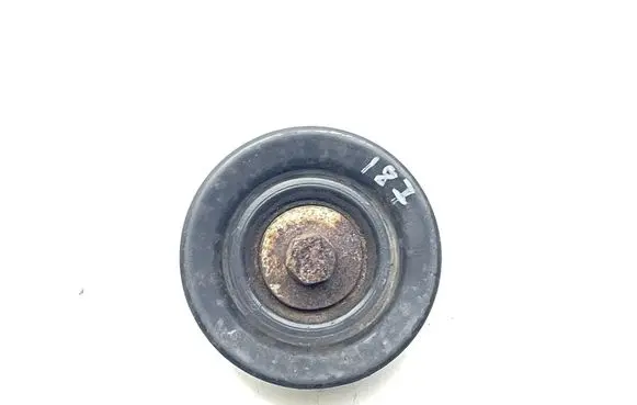 Jaguar XK8 - XKR Generator/alternator belt tensioner