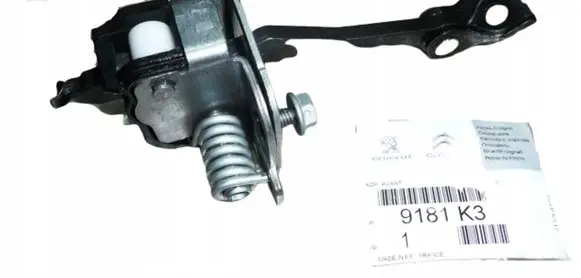 Citroen C4 I Picasso Front door check strap stopper 9181K3