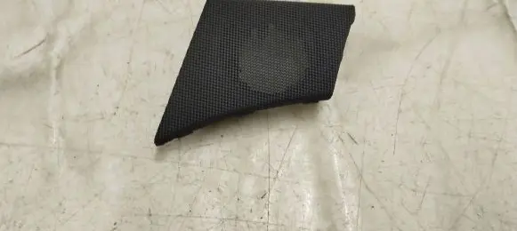 Mercedes-Benz AMG GT R190 C190 Side speaker trim/cover A1906800089