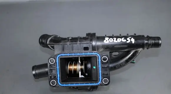 Thermostat/thermostat housing