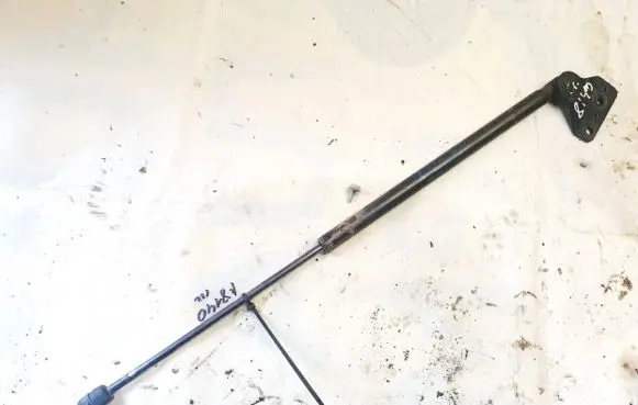 Ford Focus C-MAX Tailgate/trunk strut/damper