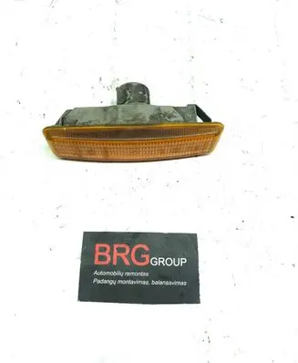 BMW 5 E39 Front fender indicator light 8360589 29017851