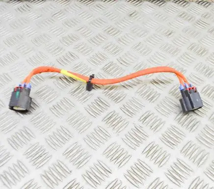 Tesla Model X Other wiring loom 108638000A