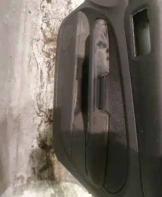 Ford Focus Front door card panel trim
