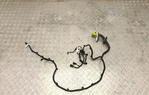 Citroen C4 III e-C4 Front door wiring loom 9840564780