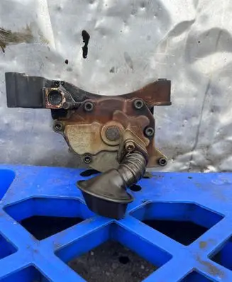 Volkswagen Golf V Oil pump 113670101 03C115105H