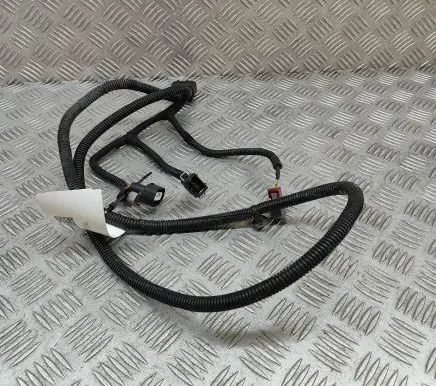 Maserati Ghibli Other wiring loom 670001648