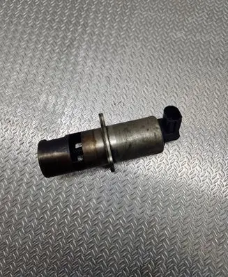Renault Megane II EGR valve 53389606