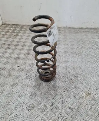 Volkswagen PASSAT B6 Rear coil spring