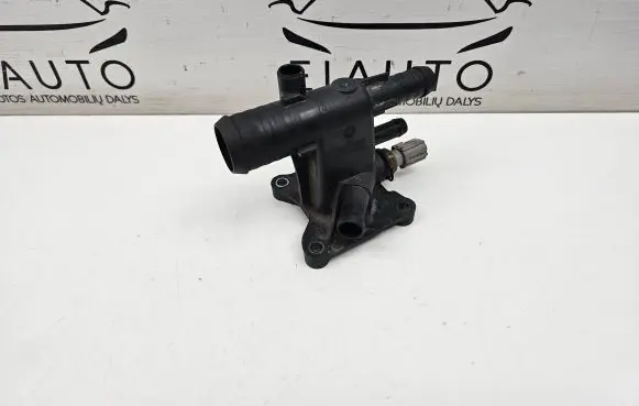 Thermostat/thermostat housing