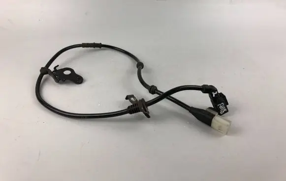 Other wiring loom