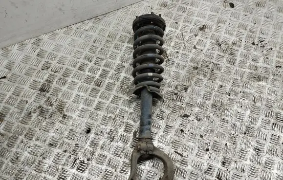 Honda Accord Front shock absorber with coil spring