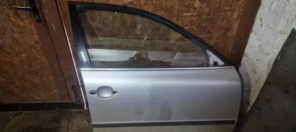 Volkswagen PASSAT B5.5 Front door 