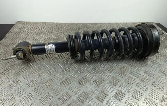 Ford F150 Front shock absorber with coil spring JL3418045