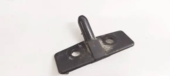 Peugeot Partner Rear door lower hinge 