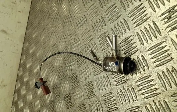 Volkswagen Crafter Fuel injector 2N0131113L