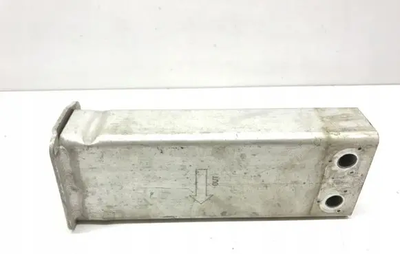 Tesla Model 3 Front bumper shock/impact absorber 110919300C