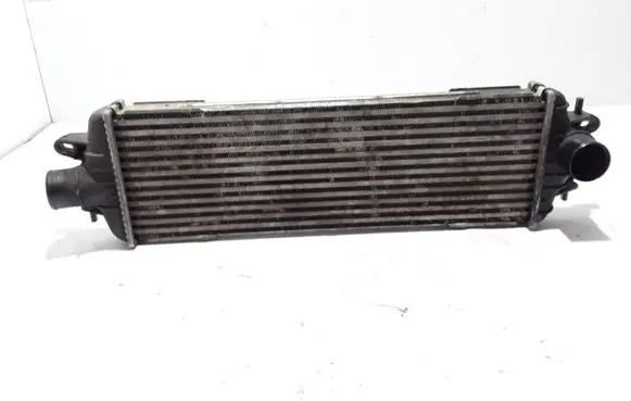 Opel Vivaro Intercooler radiator 8200219497