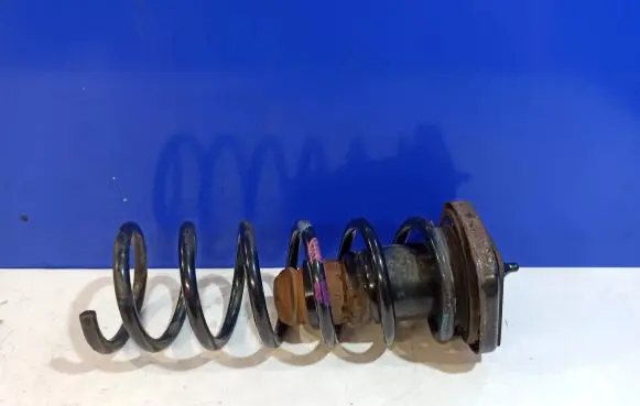 Volvo S60 Rear coil spring 31340758