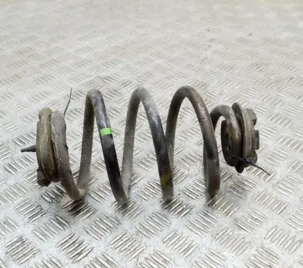 Nissan Leaf II (ZE1) Rear coil spring 550205SJ0A