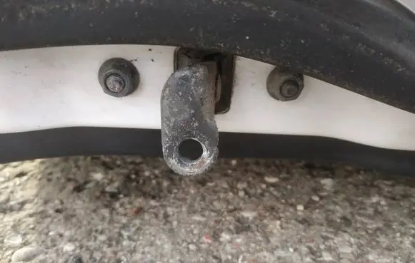 Hyundai H-1, Starex, Satellite Front door check strap stopper 