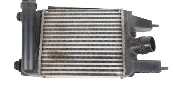 Nissan Juke I F15 Intercooler radiator 144613ZU0B