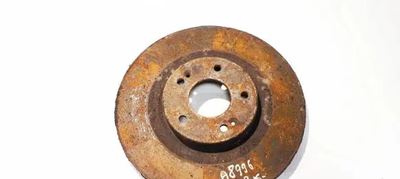 Hyundai Santa Fe Front brake disc ventiliuojamas
