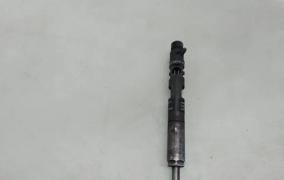 Nissan Note (E11) Fuel injector EJBR03101D 8200421359